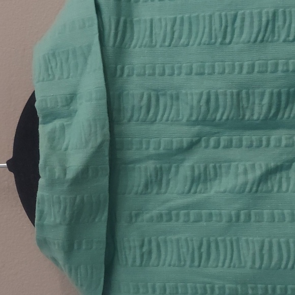 Improved Living Green Textured Blouse - Picture 8 of 10